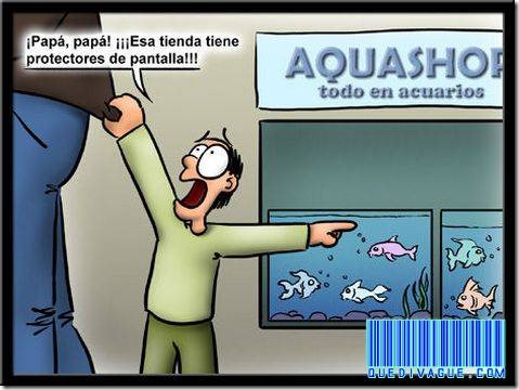 humor grafico variado (5)