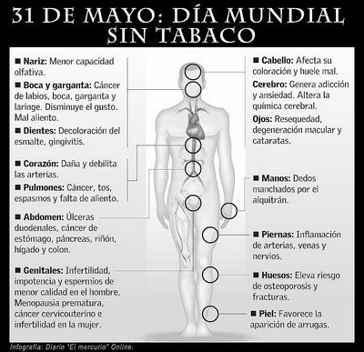 [sin tabaco migallinero.blogspot (13)[2].jpg]