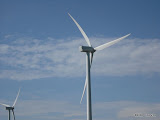 Windmill farms