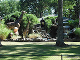 Dauphin Zoo