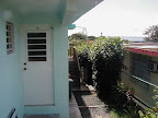 Ocean view