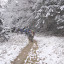 DSC01239.JPG