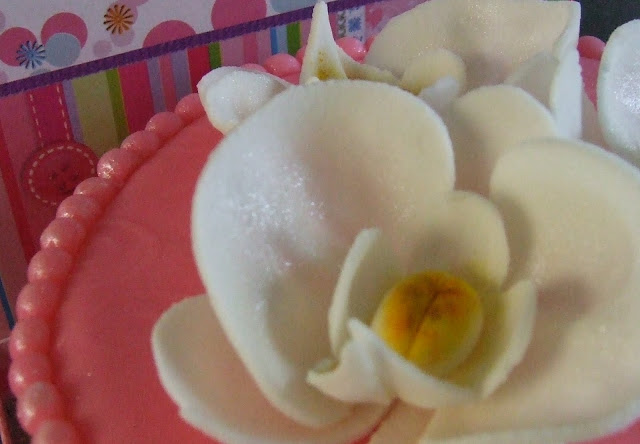 http://lh5.ggpht.com/_lGlv1rTdSIw/TLW9CRVuq4I/AAAAAAAAEzs/JuGx2jRGYhw/s640/DSCF1812.JPG