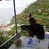 DSCN0296.JPG, Lunch (fresh fish caught that day!) On the top of the city!, Our Trip to Italy