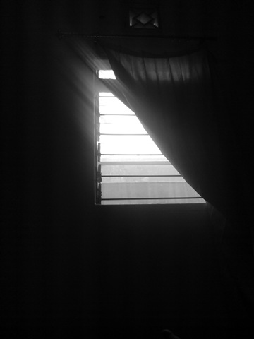 black-white-windows black-white-windows