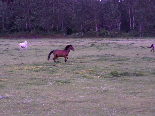 2010-06-12_22-43-08_1.jpg