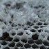 DSC01013.JPG