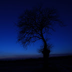 DSC_0693.jpg