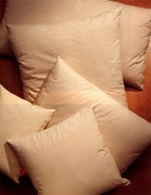 [pillows[5].jpg]