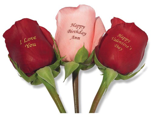 [valentines_day_roses[4].jpg]