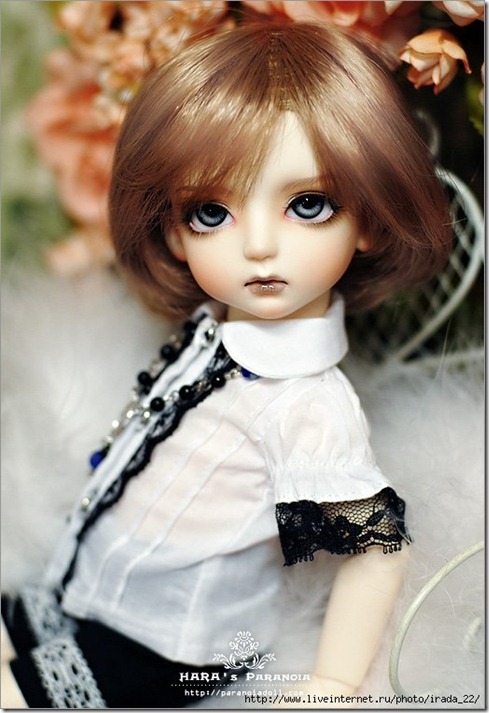 2a5c1e42cc3544790ce72a9db7835675