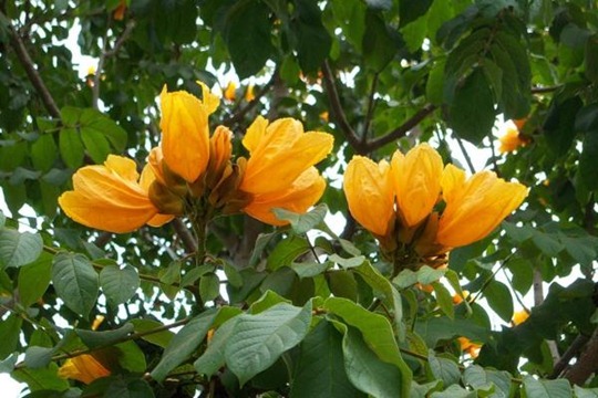 [clip_image0215.jpg]