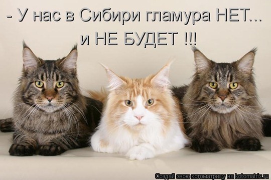 [clip_image027[4].jpg]