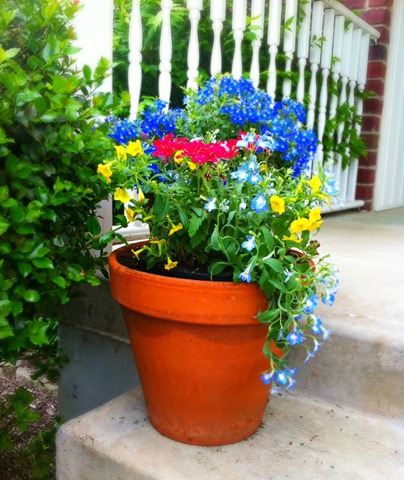 [flowers 1[5].jpg]