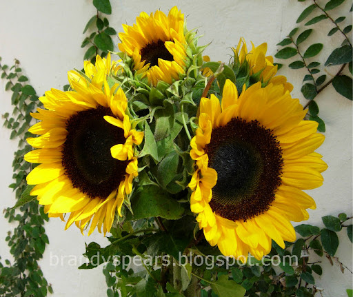 wedding centerpiece idea sunflower topiary