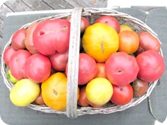 basket of tomatoes 1