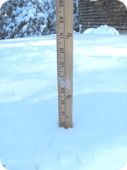 1-27-11 snowstorm yardstick