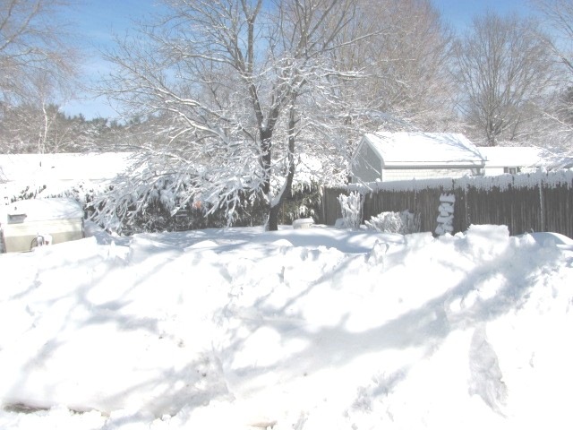 [1.27.11 snowstorm sideyard[7].jpg]