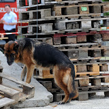 Sicherheitstage2009-06-20-KFV_476.jpg