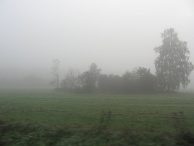 Mgła 7