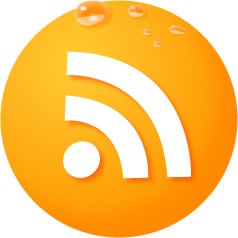 [orange[4].jpg]