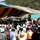 SDC11015.JPG