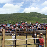 DSC02505.JPG