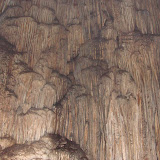 DSC02795.JPG