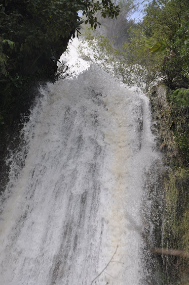 DSC_0276.JPG