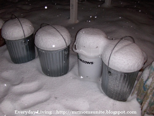 photo of the snow covered trash cans