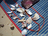 nomad4ever_indonesia_sulawesi_pulau_gangga_CIMG2602.jpg