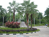 nomad4ever_indonesia_pulau_bintan_IMG_2749.jpg