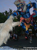 nomad4ever_indonesia_bali_ogohogoh_CIMG2722.jpg