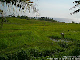 nomad4ever_indonesia_bali_landscape_CIMG1741.jpg