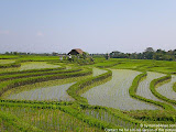 nomad4ever_indonesia_bali_landscape_CIMG1639.jpg