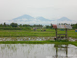nomad4ever_indonesia_bali_landscape_CIMG2103.jpg