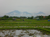 nomad4ever_indonesia_bali_landscape_CIMG2107.jpg