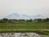 nomad4ever_indonesia_bali_landscape_CIMG2109.jpg