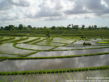 nomad4ever_indonesia_bali_landscape_CIMG2372.jpg