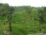 nomad4ever_bali_waterfall_hotsprings_DSCN2998.jpg