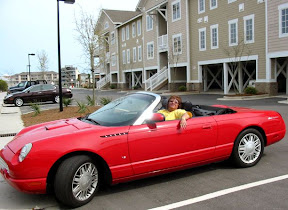 tbird-dougscondo.jpg