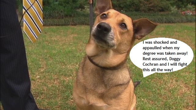 [Dog gets diploma[4].jpg]
