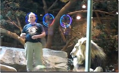 Lion 1