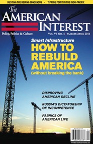 [The-American-Interest-cover-20116.jpg]