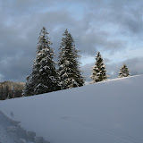 &ndash;  &ndash; 06-Feb-2010