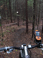 IMG_6087.JPG Photo