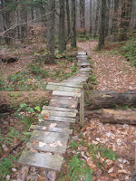 For those with good balance (West Woodstock, New York, United States) Photo