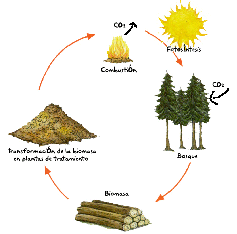 [ciclo-biomasa-energias[8].gif]