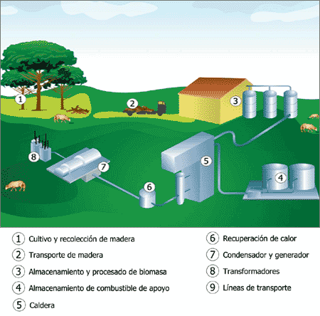 [biomasa-energias-renovables[5].gif]