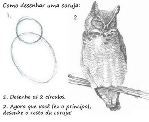 COMO-DESENHAR-CORUJA